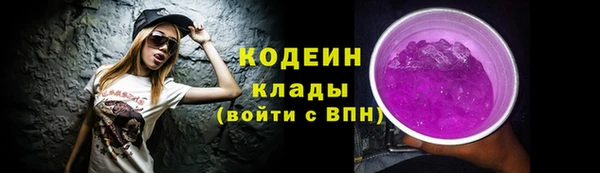прущий лед Липки