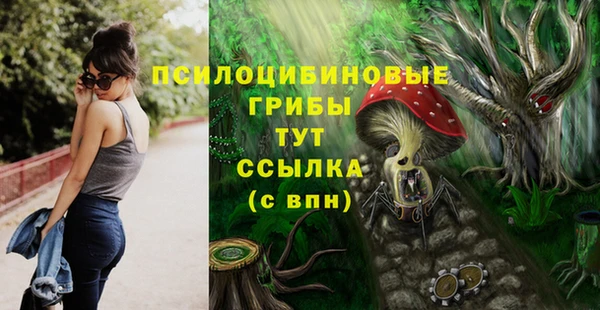 спиды Ладушкин