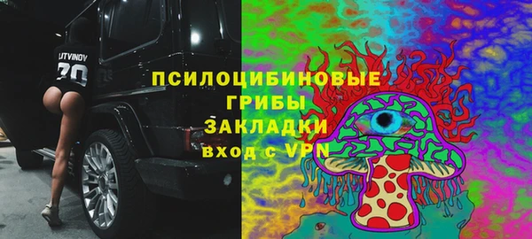 а пвп мука Лиски