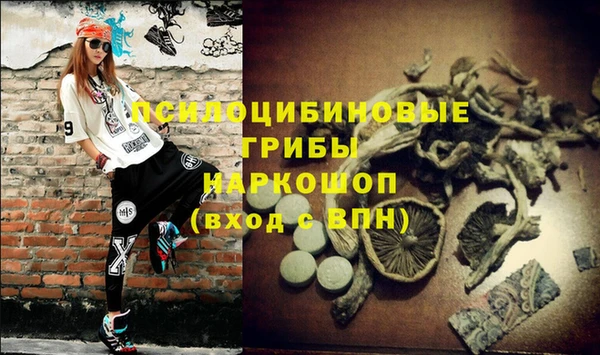 трава Саяногорск