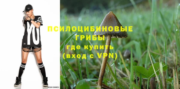 прущий лед Липки
