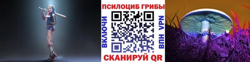 Псилоцибиновые грибы Magic Shrooms  купить наркотик  Вилюйск 